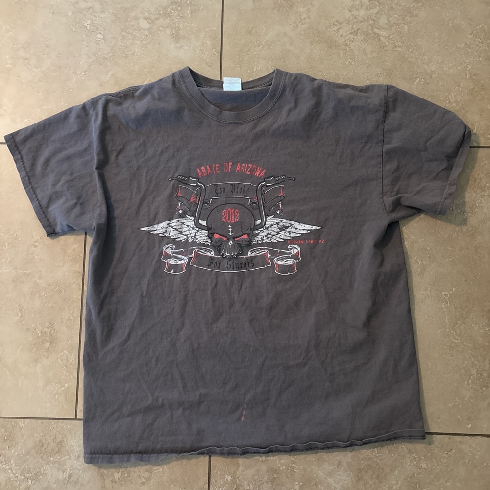 Gray Arizona Graphic T-Shirt